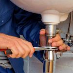 WhatsApp Image 2025-04-22 at 11.28.57 AM