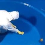 a person in a white protective suit cleaning a blue tank