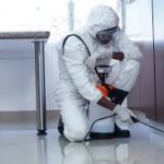 WhatsApp Image 2025-04-22 at 11.29.15 AM (1)