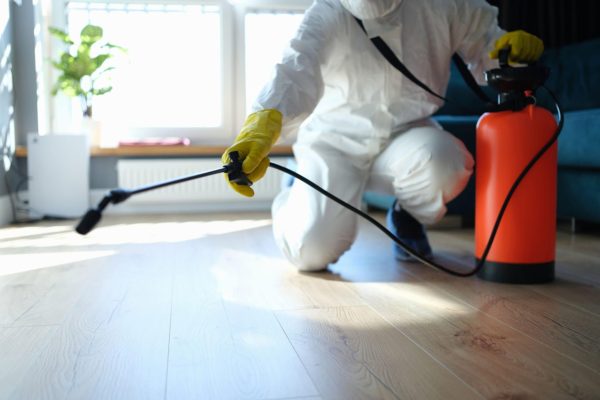 Isinfection of premises from insects and rodents with chemic-min