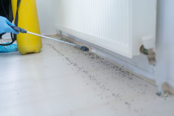 Pest Control Services-min
